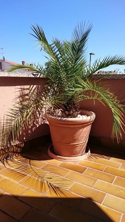 Licul Apartment روفينج الغرفة الصورة