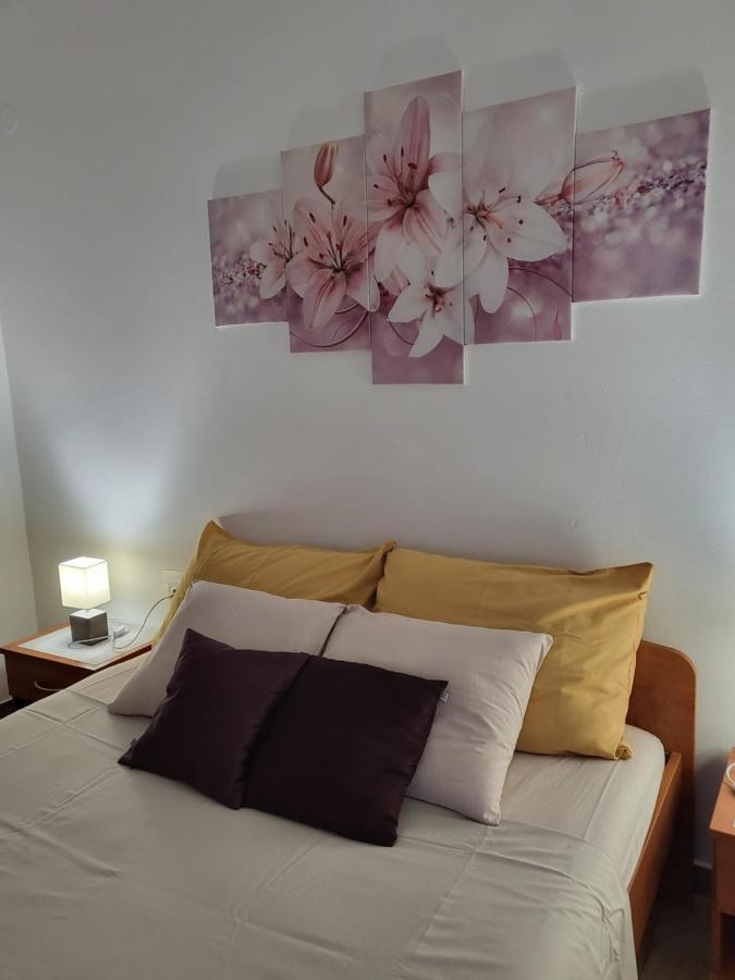 Licul Apartment روفينج المظهر الخارجي الصورة